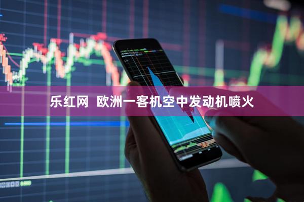 乐红网  欧洲一客机空中发动机喷火