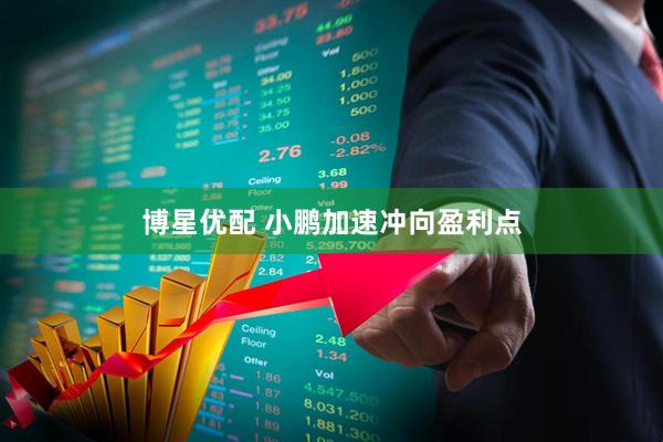 博星优配 小鹏加速冲向盈利点
